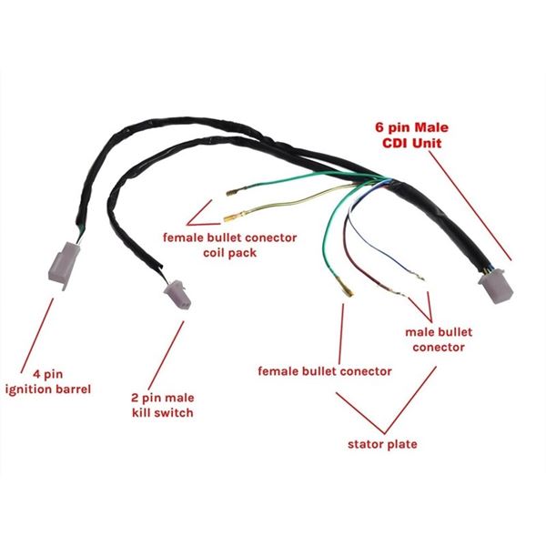 pit bike wiring loom diagram