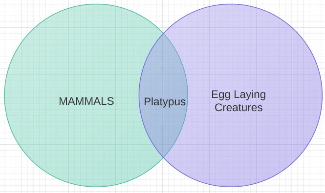 platypus keytar venn diagram