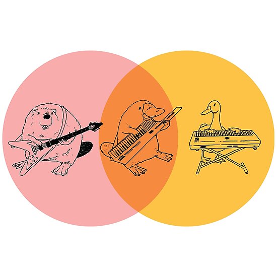 platypus keytar venn diagram