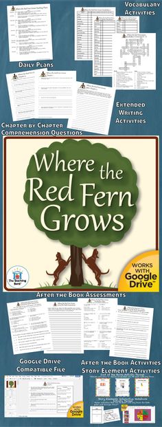 plot diagram for where the red fern grows