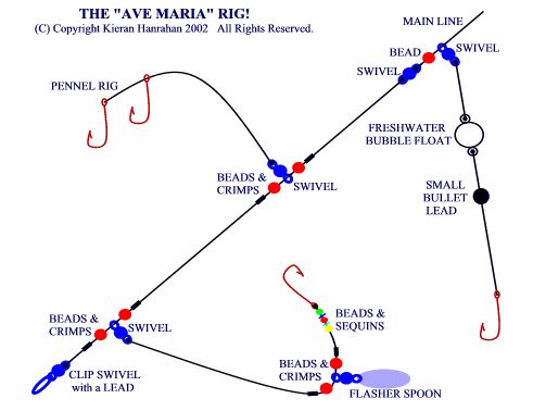 porgy rig diagram