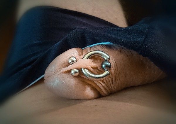 prince albert piercing diagram prince albert piercing diagram