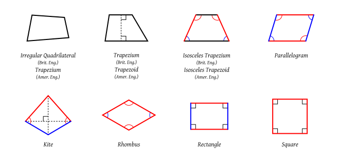 quadrilateral hierarchy diagram