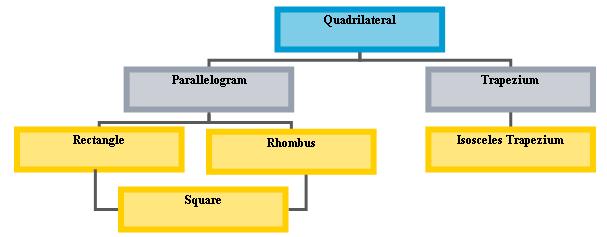 quadrilateral hierarchy diagram