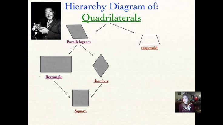 quadrilateral hierarchy diagram