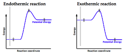 reaction coordinate diagram endothermic vs exothermic