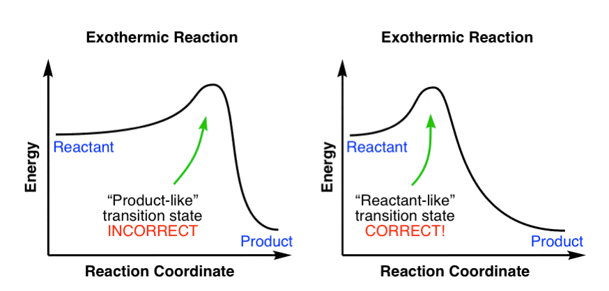 reaction coordinate diagram endothermic vs exothermic