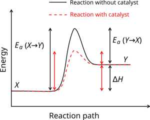 reaction coordinate diagram endothermic vs exothermic