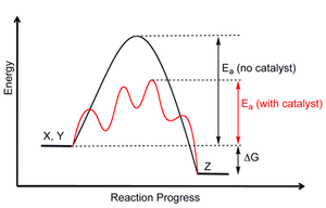 reaction coordinate diagram endothermic vs exothermic