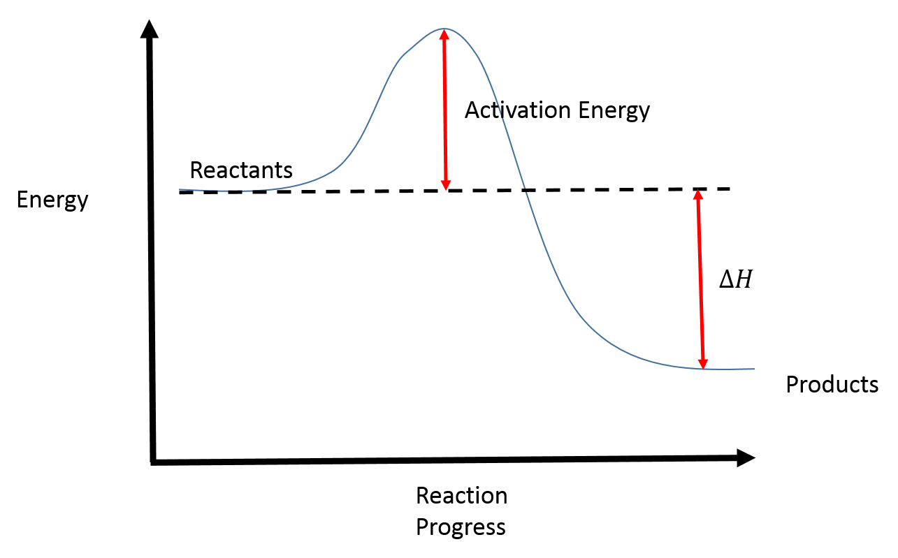 reaction coordinate diagram endothermic vs exothermic