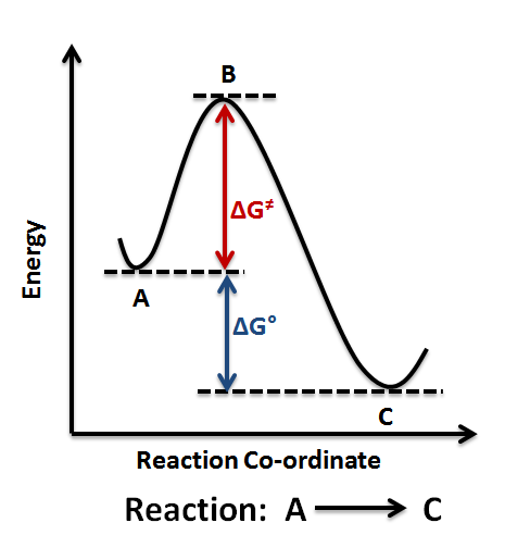 reaction coordinate diagram exothermic