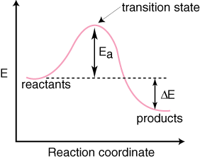 reaction coordinate diagram exothermic