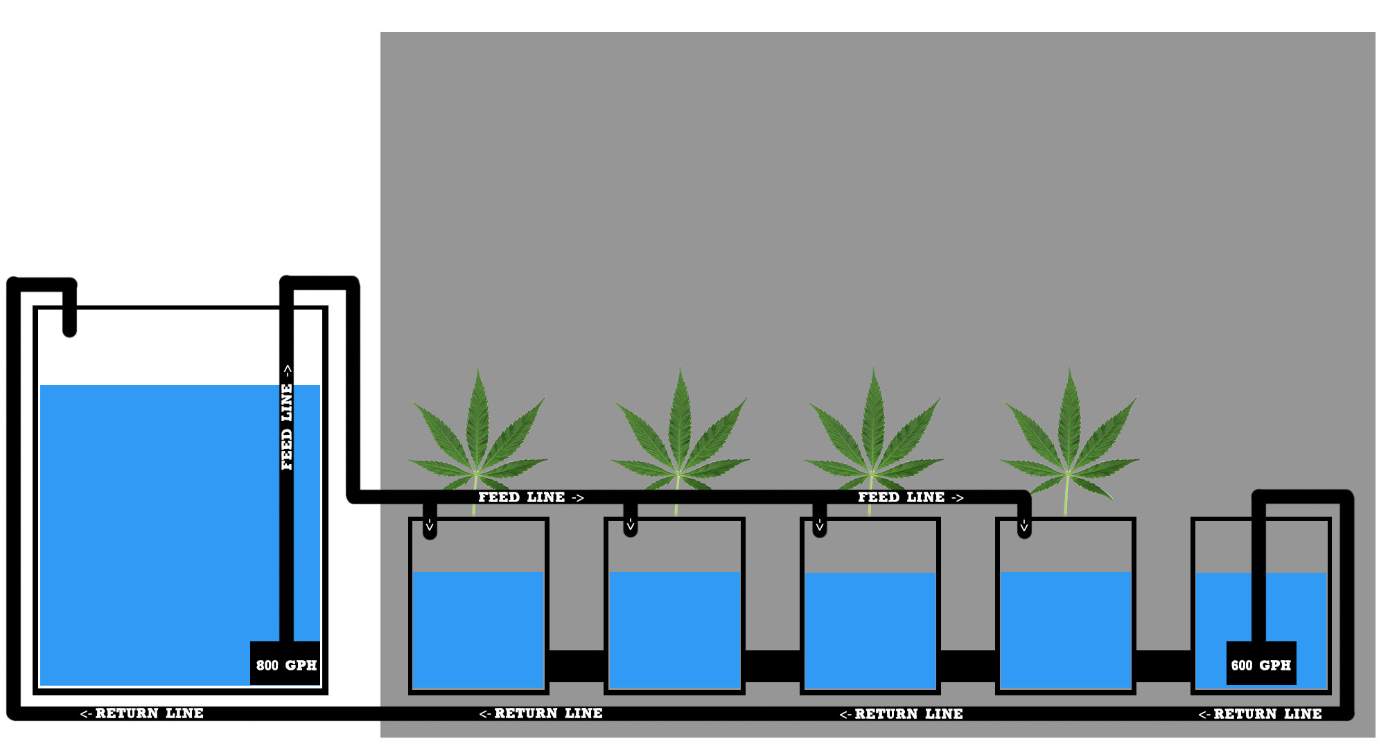 Recirculating Dwc Diagram Wiring Diagram Pictures