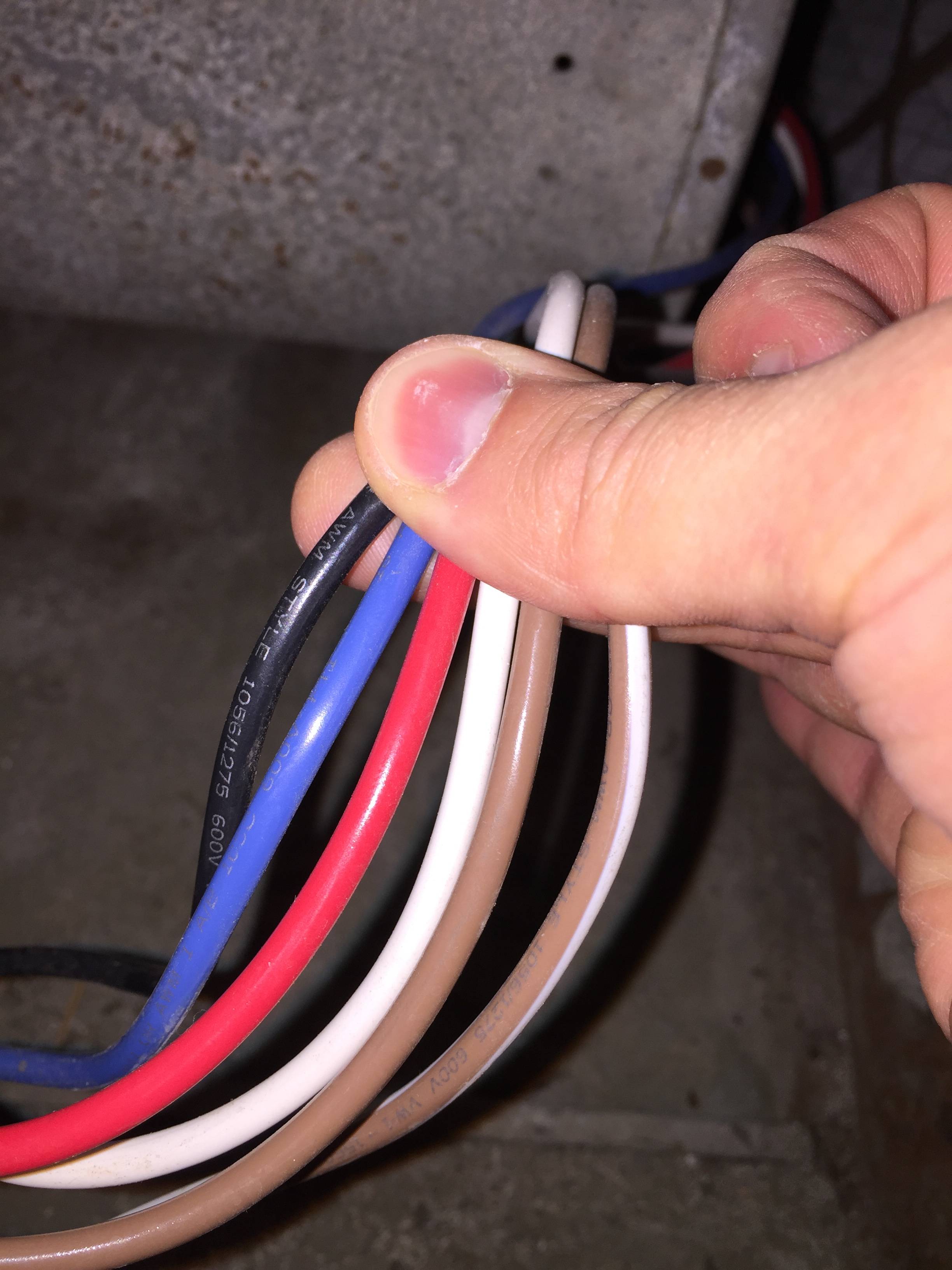 rheem rh1p4221stanja wiring diagram