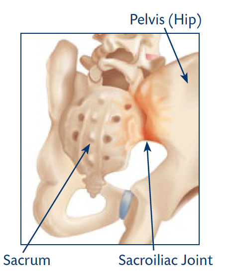 sacroiliac joint diagram