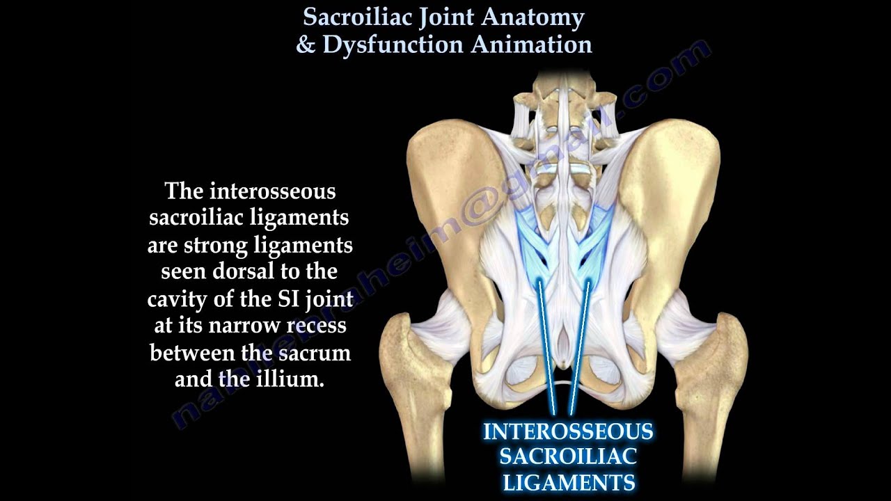 sacroiliac joint diagram