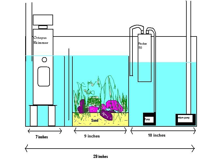 saltwater tank plumbing diagram