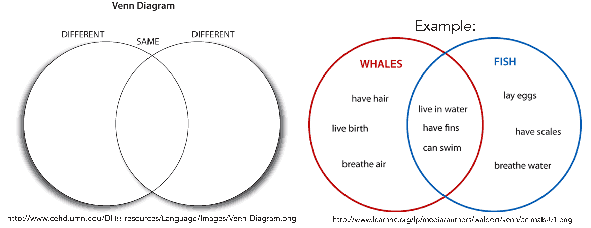 samurai vs knight venn diagram