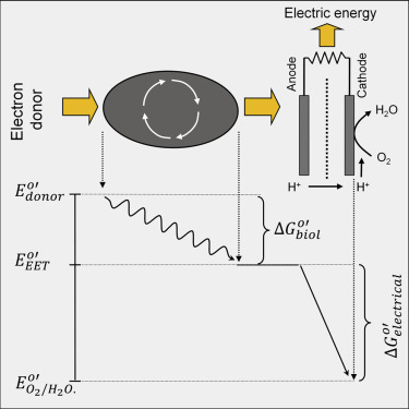 schraiber pump wiring diagram crossover