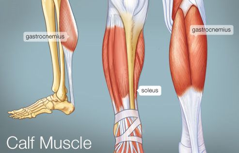 shin splints pictures diagrams