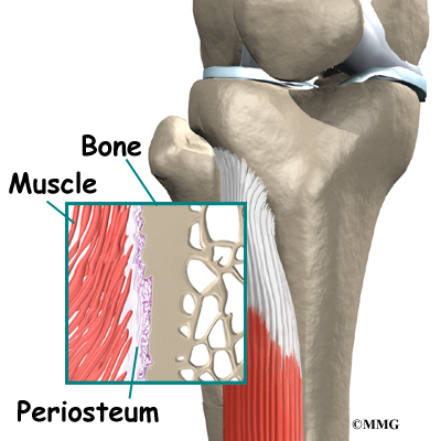 shin splints pictures diagrams