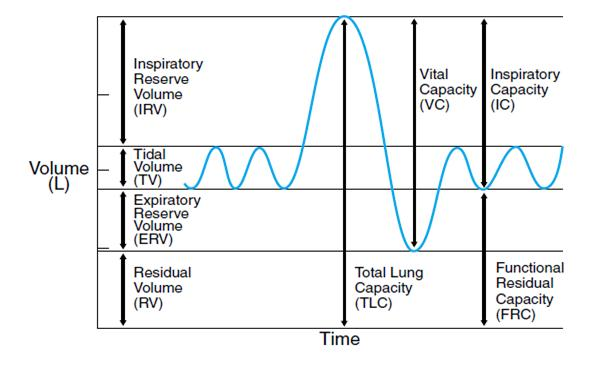 spirometry diagram