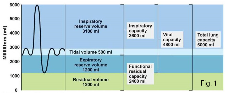spirometry diagram