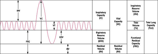 spirometry diagram