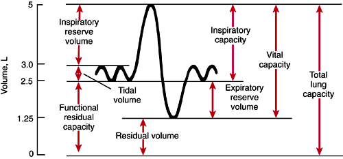 spirometry diagram