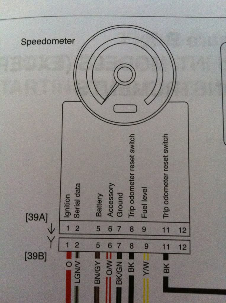 sportster speedometer wiring diagram