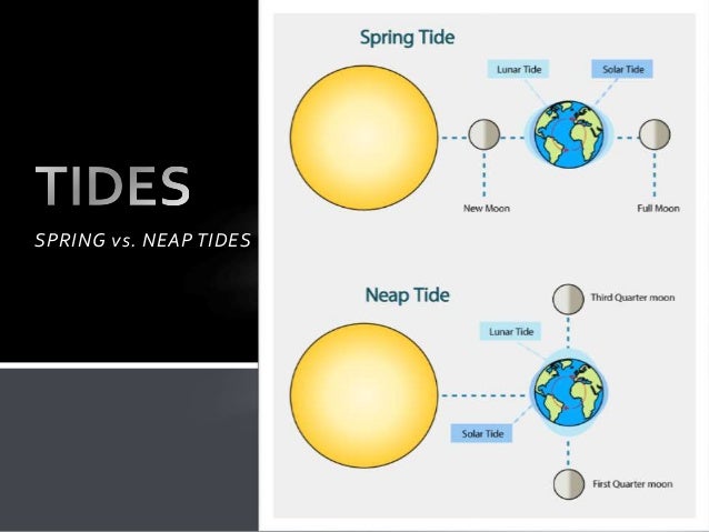 Neap Tide Diagram