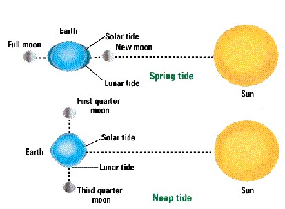 spring and neap tide diagram