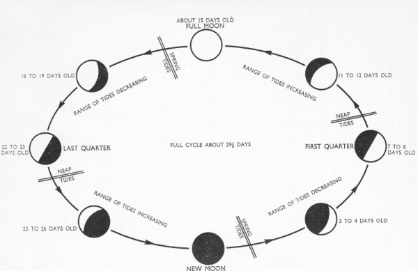 spring and neap tide diagram