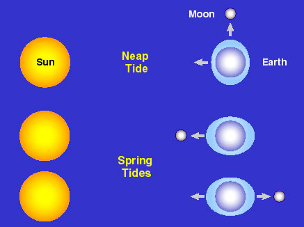 spring and neap tides diagram