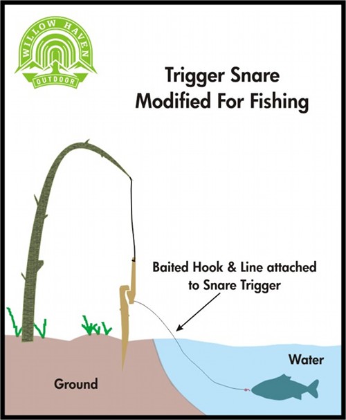 spring snare trap diagram