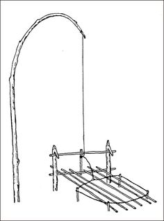 spring snare trap diagram