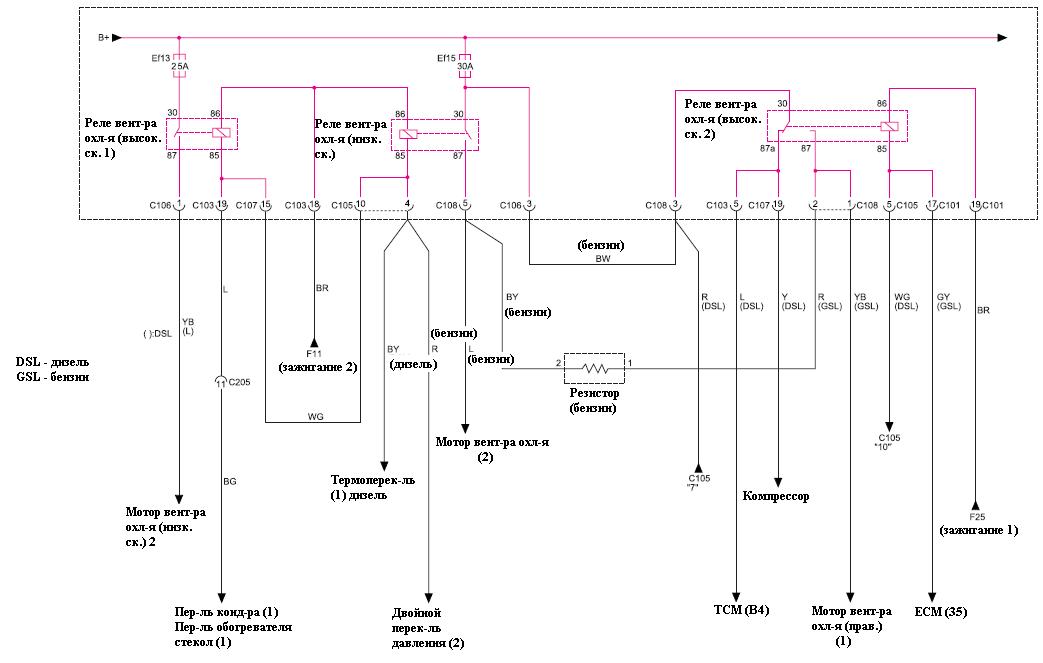 ssangyong musso wiring diagram