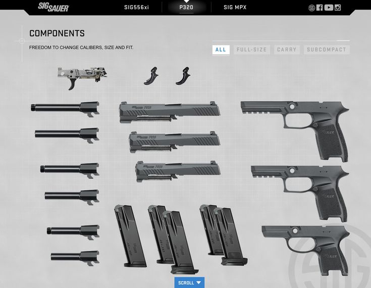 striker fired pistol diagram