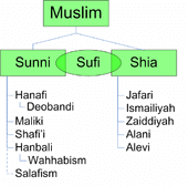 sunni and shia venn diagram