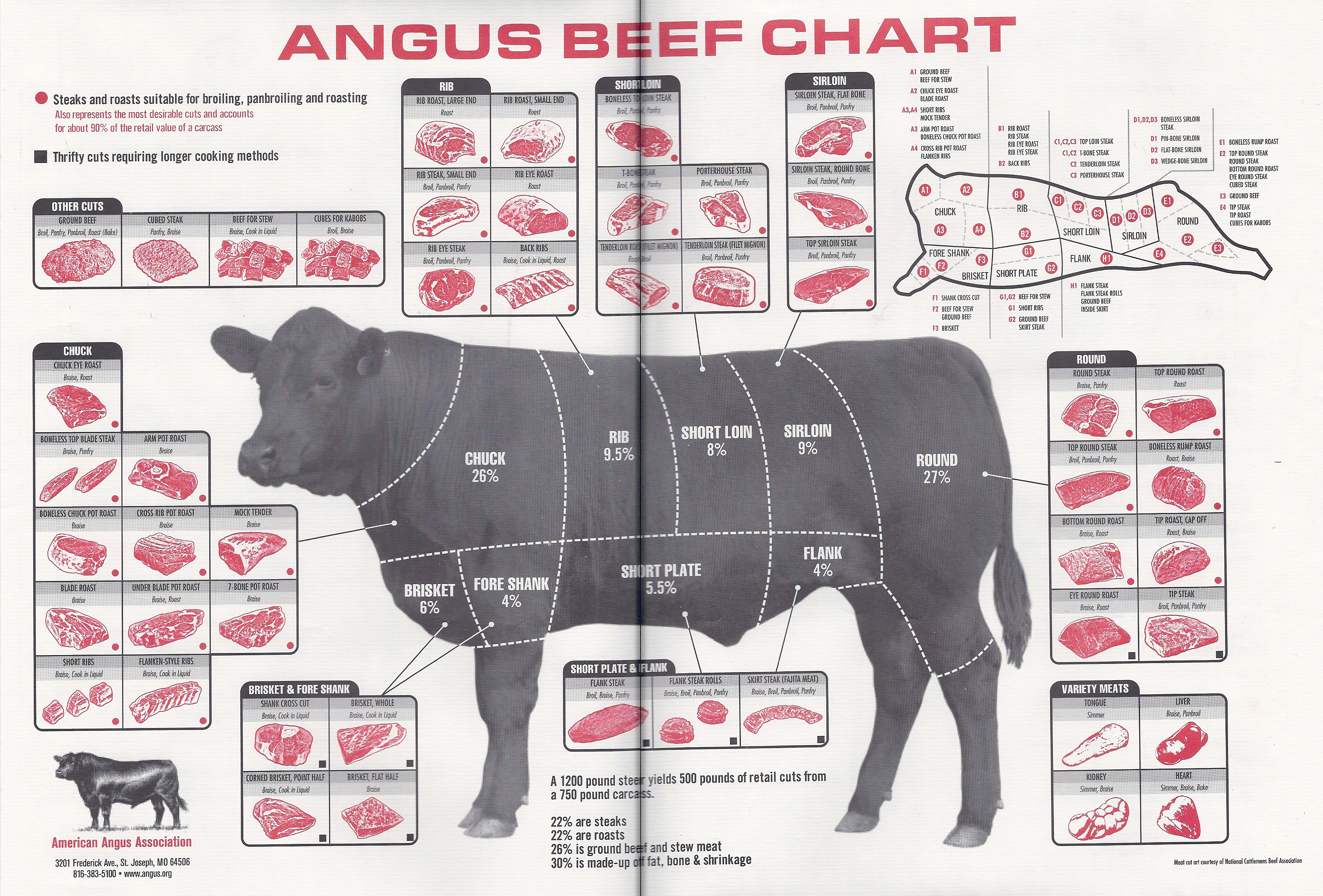 teres major beef diagram