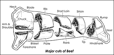 teres major beef diagram