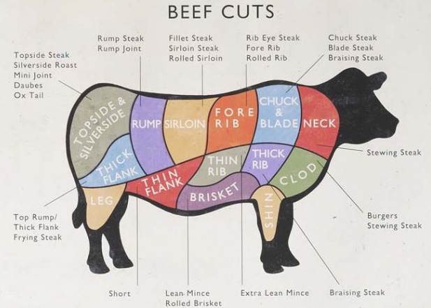 teres major beef diagram