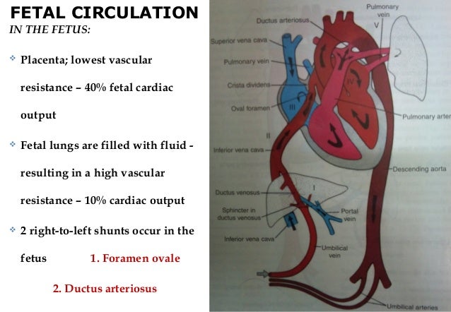 th400 fluid flow diagram