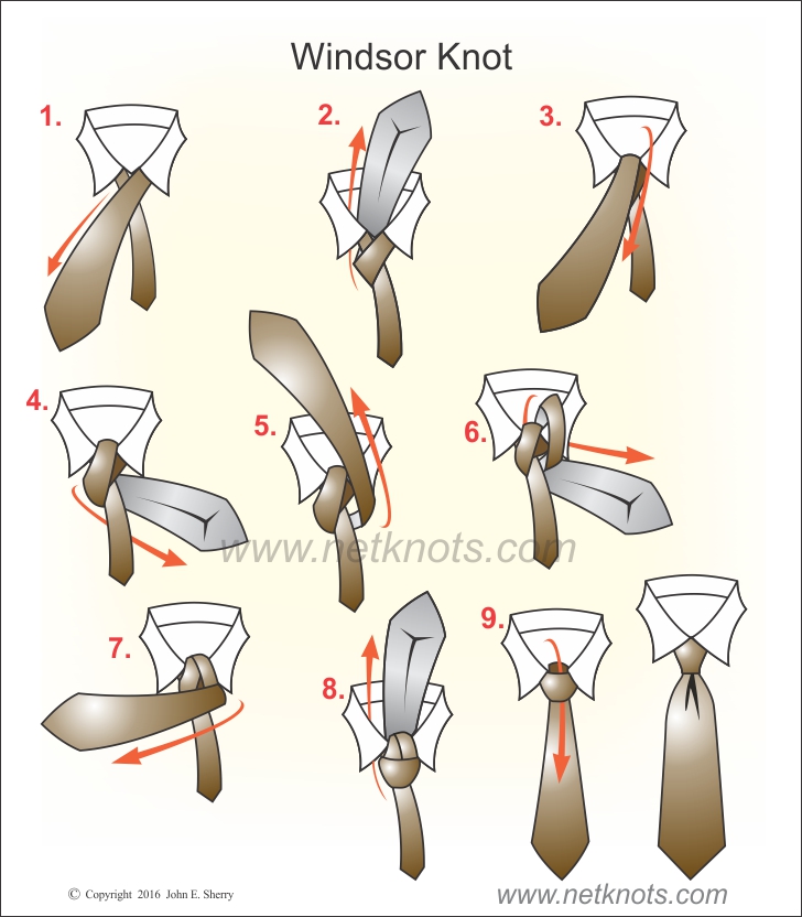 Best Templates: How To Tie A Double Windsor Knot Diagram