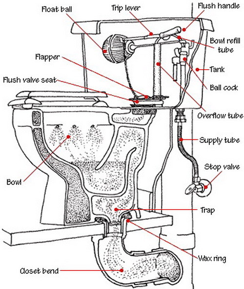 toilet diagram siphon jet