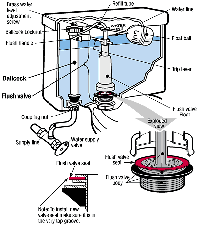 toilet guts diagram