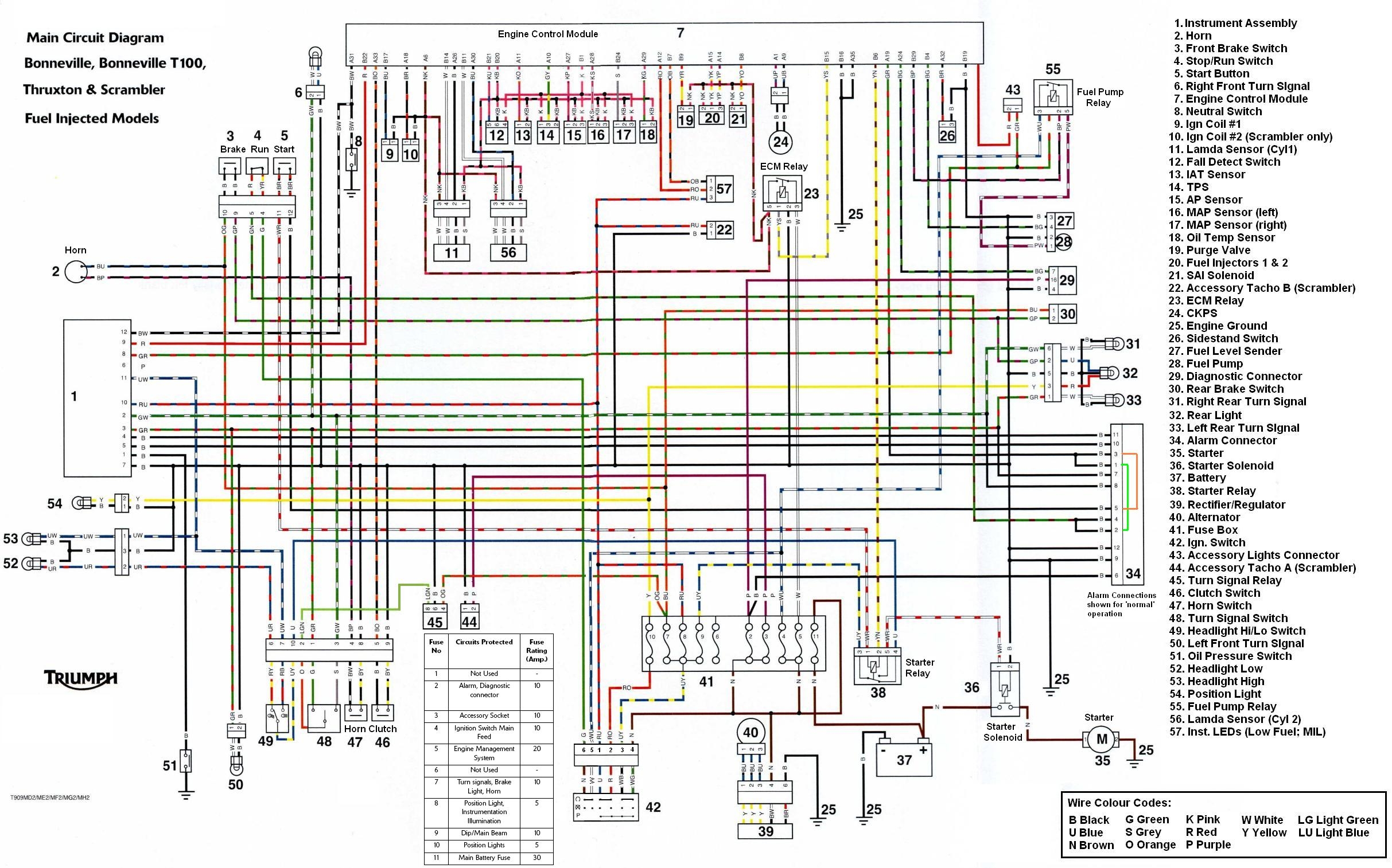 triump tiger 800 wiring diagram