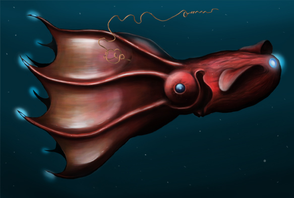 vampire squid diagram