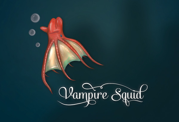 vampire squid diagram