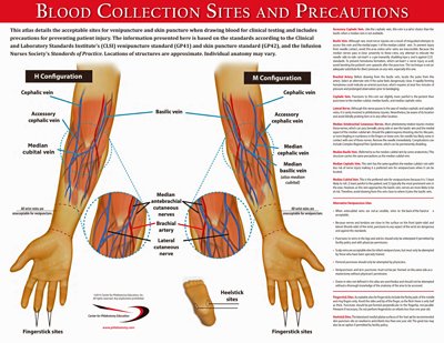 venipuncture sites diagram